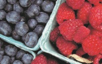 Berry Blast
