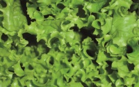 It's Not Easy Being Green
