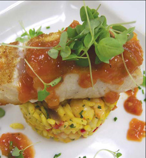 Photo of Pan-Seared Sea Bass 
and Tomato/Zucchini Coulis
